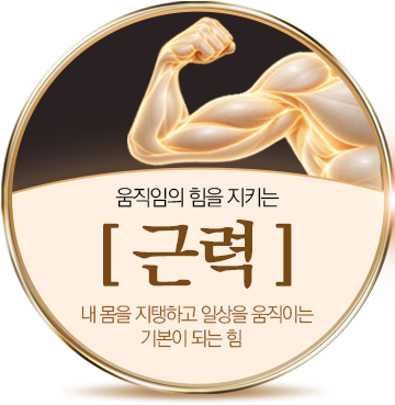 움직임의 힘을 지키는 [근력] 내 몸을 지탱하고 일상을 움직이는 기본이 되는 힘