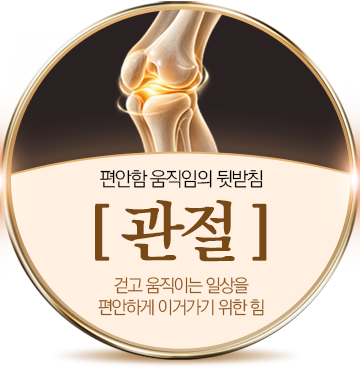 편안함 움직임의 뒷받침 [관절] 걷고 움직이는 일상을 편안하게 이어가기 위한 힘