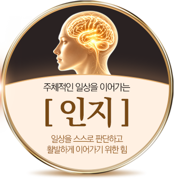 주체적인 일상을 이어가는 [인지] 일상을 스스로 판단하고 활발하게 이어가기 위한 힘