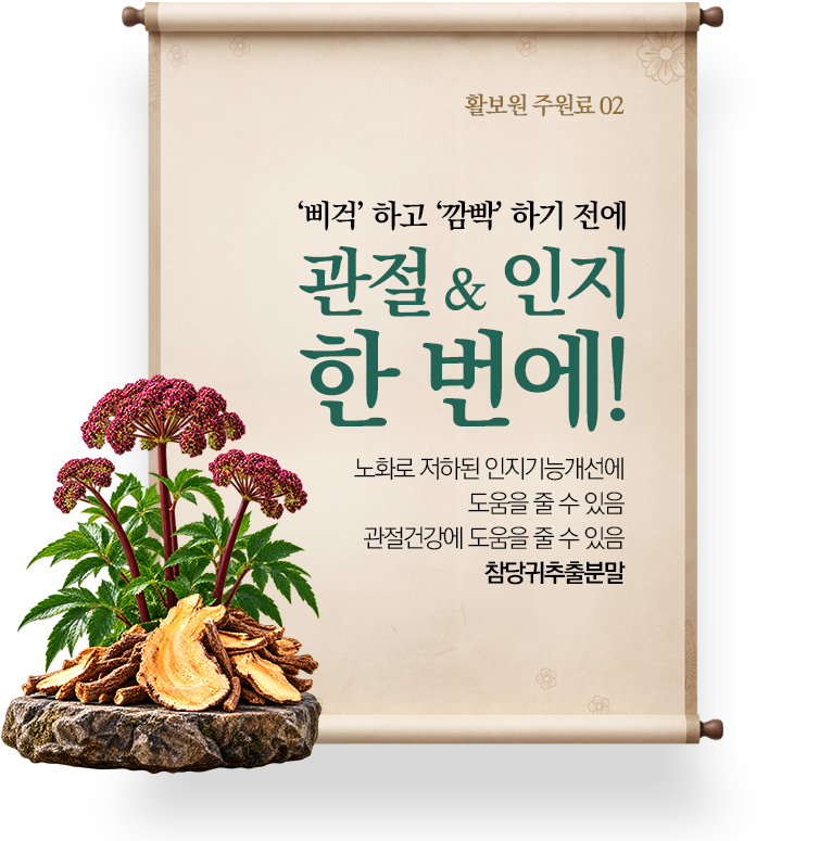활보원 주원료 02 · ‘삐걱’ 하고 ‘깜빡’ 하기 전에 관절 & 인지 한 번에! · 노화로 저하된 인지기능개선에 도움을 줄 수 있음 · 관절건강에 도움을 줄 수 있음 참당귀추출분말